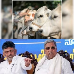 No animal sacrifice performed near temple as claimed by Shivakumar