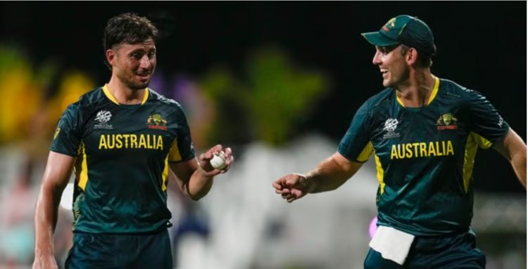 T20 World Cup 2024: Australia vs. Oman Live Score: Marcus Stoinis' incredible all-around performance propels AUS to a 39-run victory