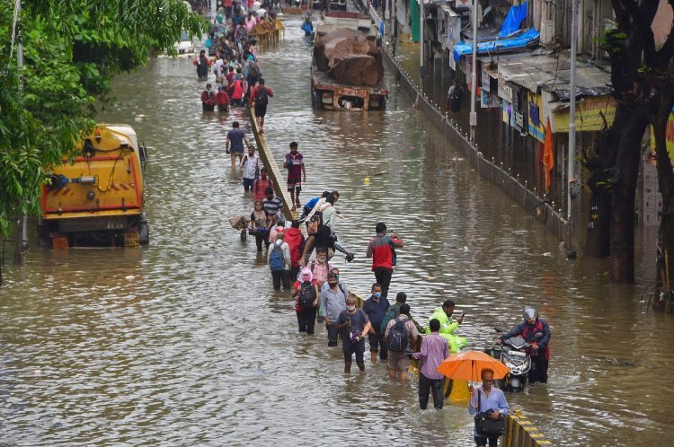 Monsoon Tracker: After passing through Maharashtra, Mumbai is ready for this weekend's rains