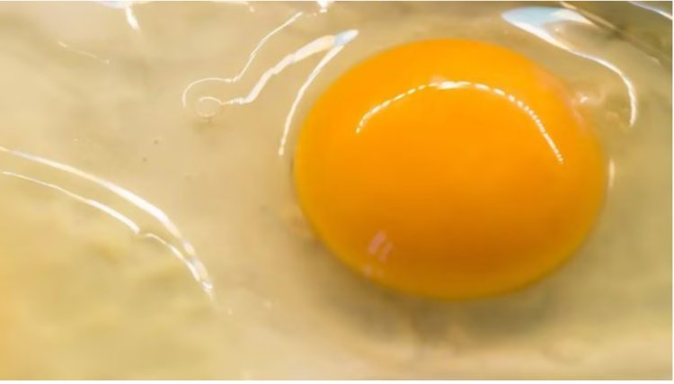 Does an egg's yolk color indicate its quality?