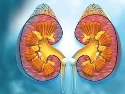 The Value of Early Identification and Diagnosis in Improving Prognoses for Kidney Cancer