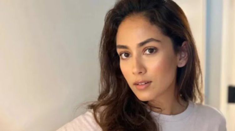 Mira Kapoor claims she "regrets" her derogatory comments on working mothers.
