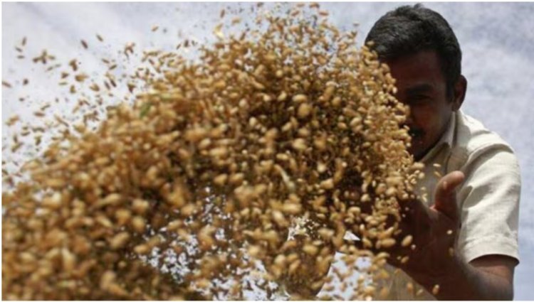 "Pay farmers back the GST and continue agricultural research."