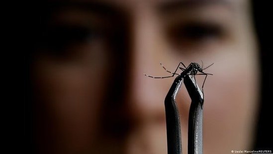 Understanding Oropouche Fever: Symptoms of This Mosquito-Borne Disease