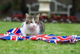 As UK Election Draws Near, Larry the Cat Waits for Sixth Prime Minister