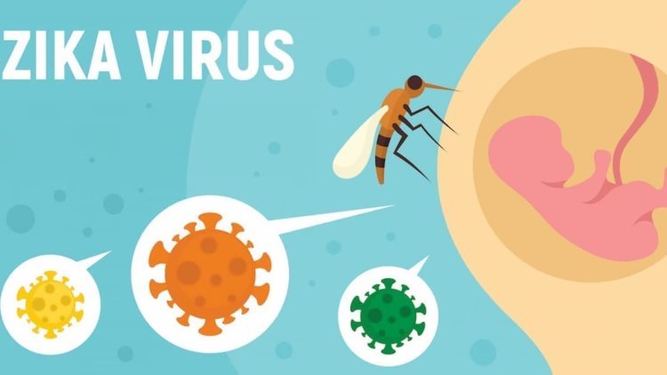 Zika virus and pregnancy: updated recommendations for pregnant moms