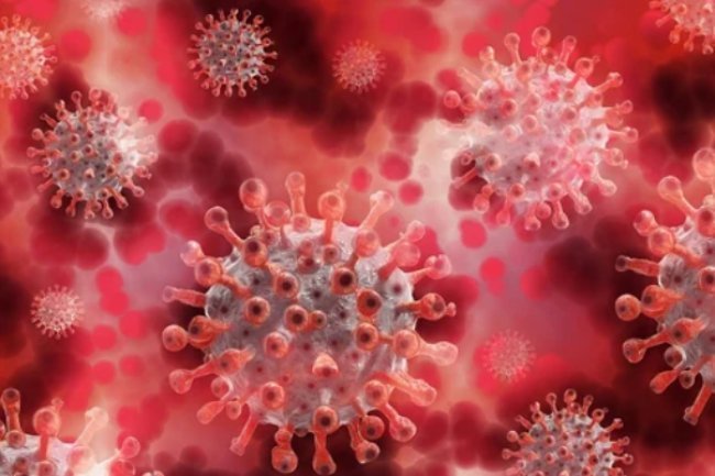 Is there a chance of a COVID rise in the summer? All of the latest FLiRT iterations