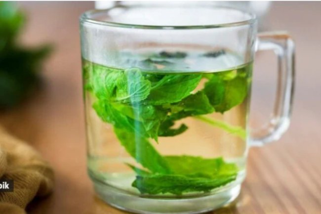 Tulasi water will become a staple in your diet thanks to these five advantages of drinking it.