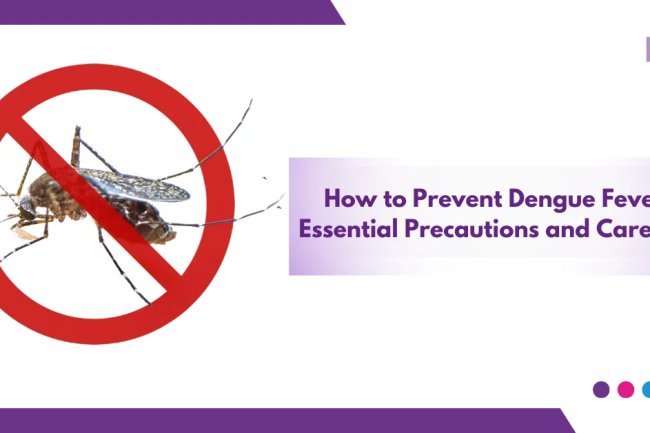 Precautions against dengue fever: How to stop mosquitoes from reproducing in and around your home