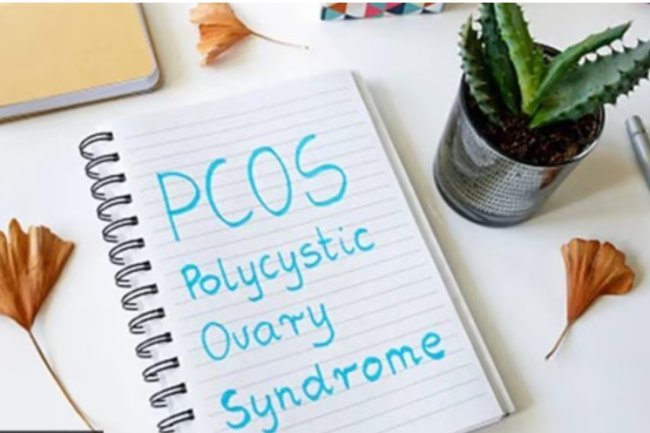 Can PCOS be cured by an anti-malarial drug? What a gynecologist has to say is as follows.