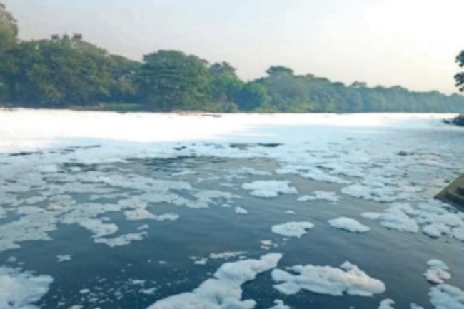 Daily Batteries Associated With "Forever Chemicals" Pollution: Research