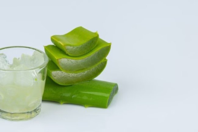 To receive the most benefits from aloe vera, you should drink its juice rather than its gel.