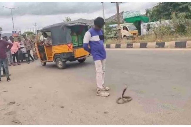 "Drunken man in Andhra tries to play with snake, regrets it."