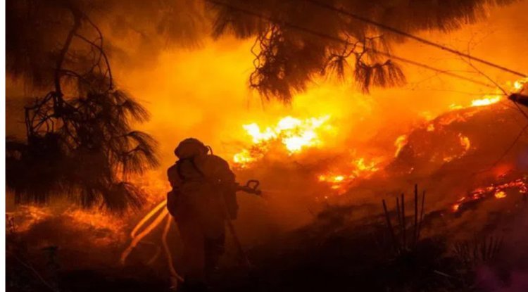 Wildfires in California force thousands to flee amid heatwaves.