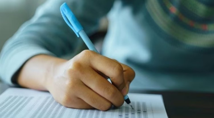 CBSE CTET Admit Card 2024 is available at ctet.nic.in. Follow the instructions to download your hall pass.