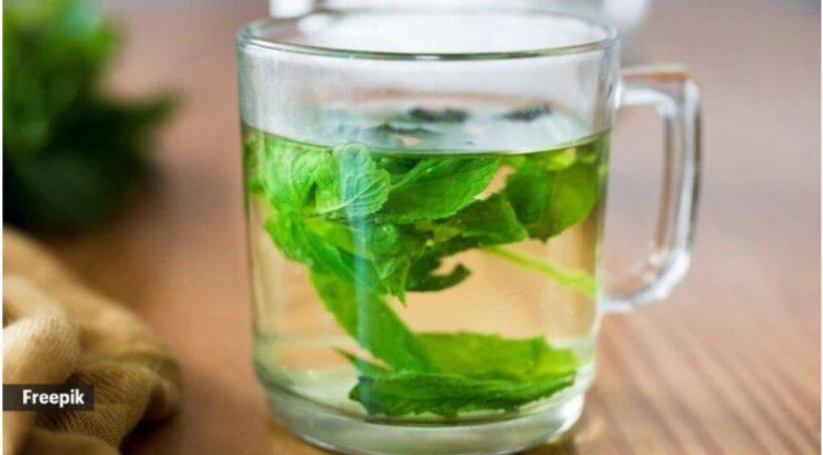 Tulasi water will become a staple in your diet thanks to these five advantages of drinking it.