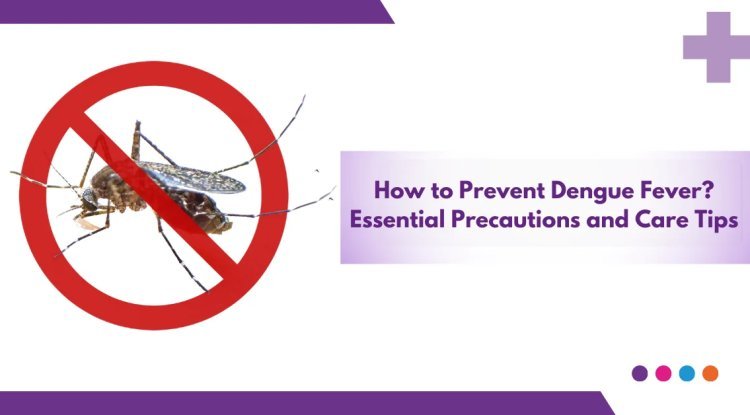 Precautions against dengue fever: How to stop mosquitoes from reproducing in and around your home