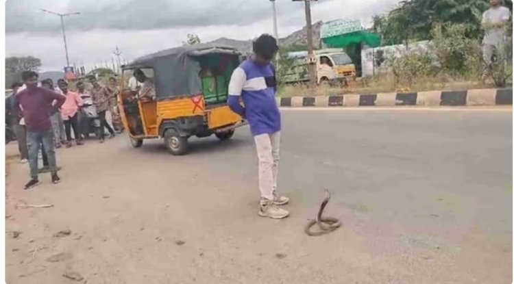 "Drunken man in Andhra tries to play with snake, regrets it."