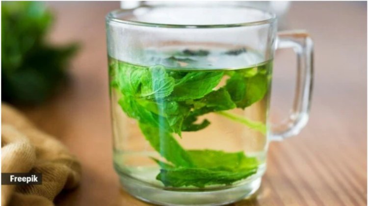 Tulasi water will become a staple in your diet thanks to these five advantages of drinking it.