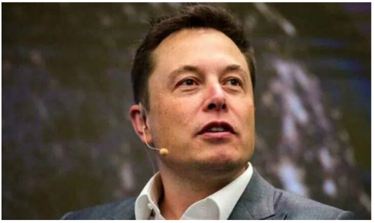 Elon Musk backs carbon pricing to tackle climate change.