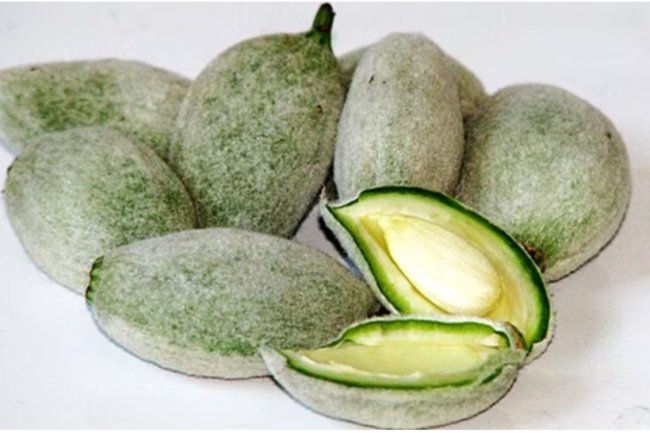 Why this season, green almonds should be on your dish