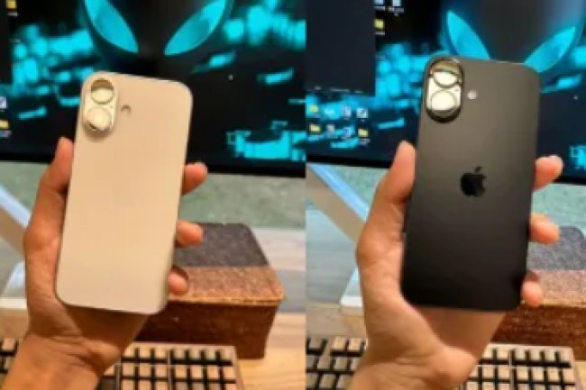 What PM Narendra Modi Said About Vinesh Phogat's Paris Olympics 2024 Feat: "Matter Of Great Pride"