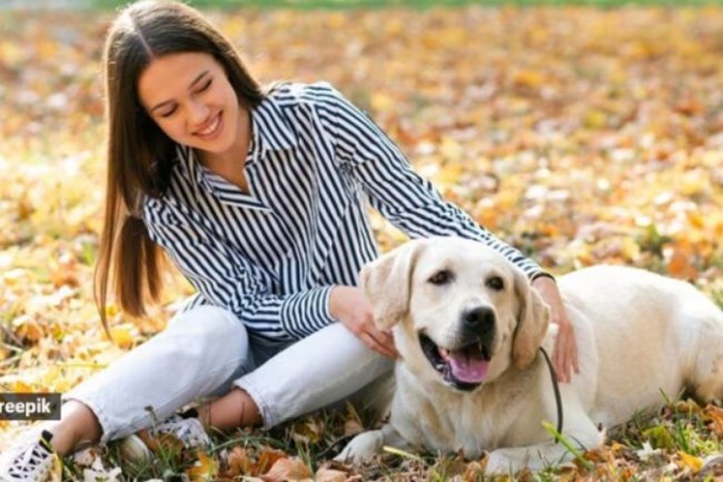 Do your furry companions' health risks from pet scents exist?