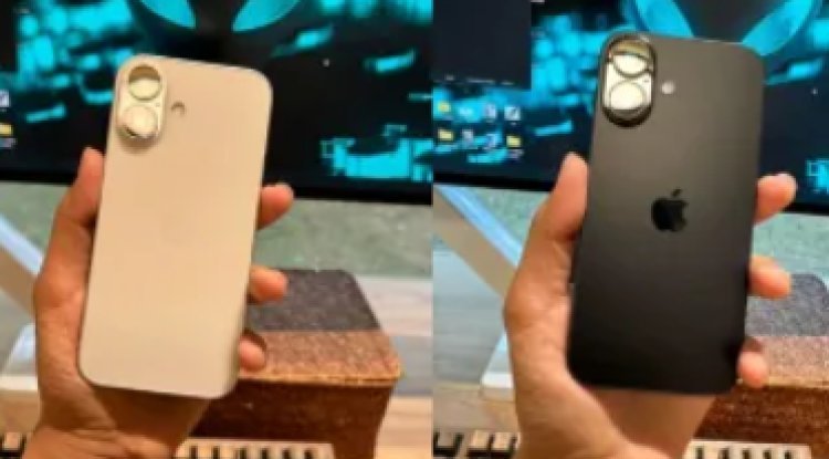 What PM Narendra Modi Said About Vinesh Phogat's Paris Olympics 2024 Feat: "Matter Of Great Pride"